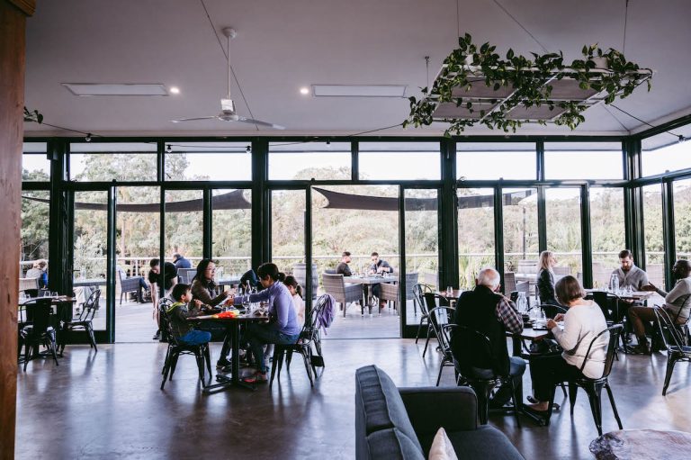 Cassegrain Wines 1 768x511