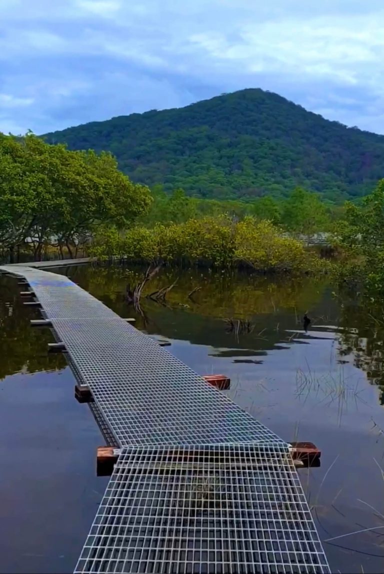 Diamond Waters Treehouse Resort 3 768x1148