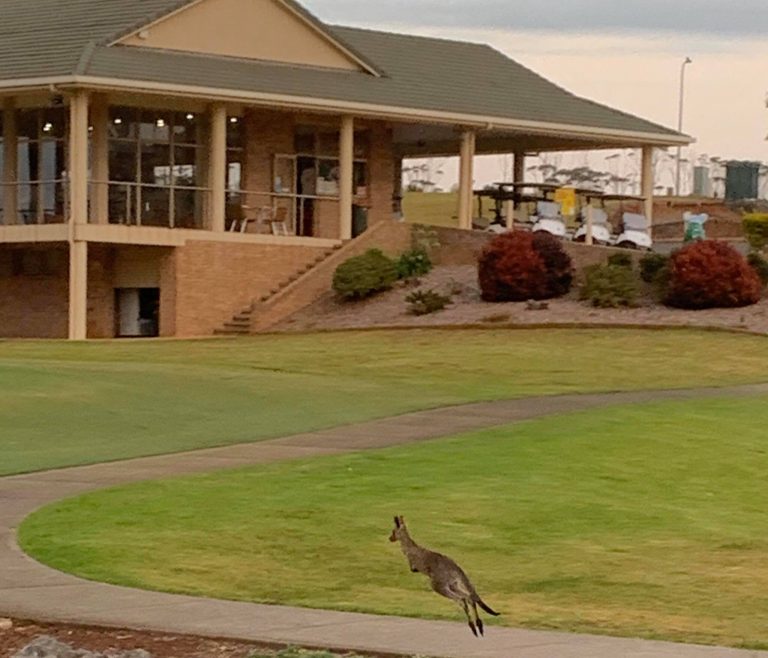 Emerald Downs Golf Course 3 768x658