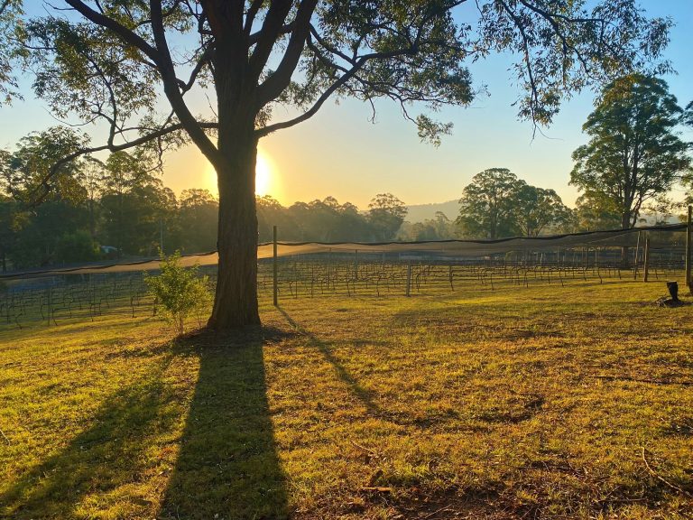 Long Point Vineyard Art Gallery 3 768x576