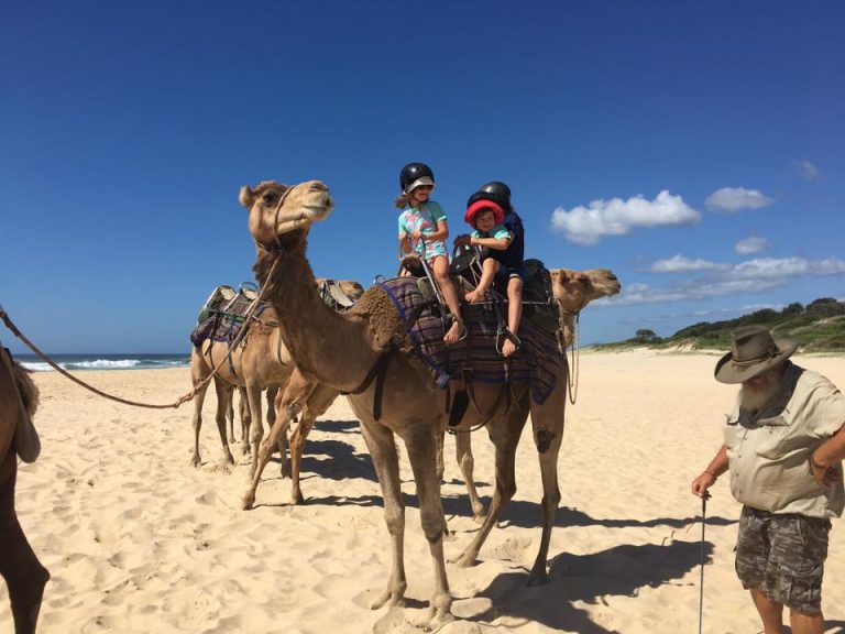 Port Macquarie Camels 2 768x576