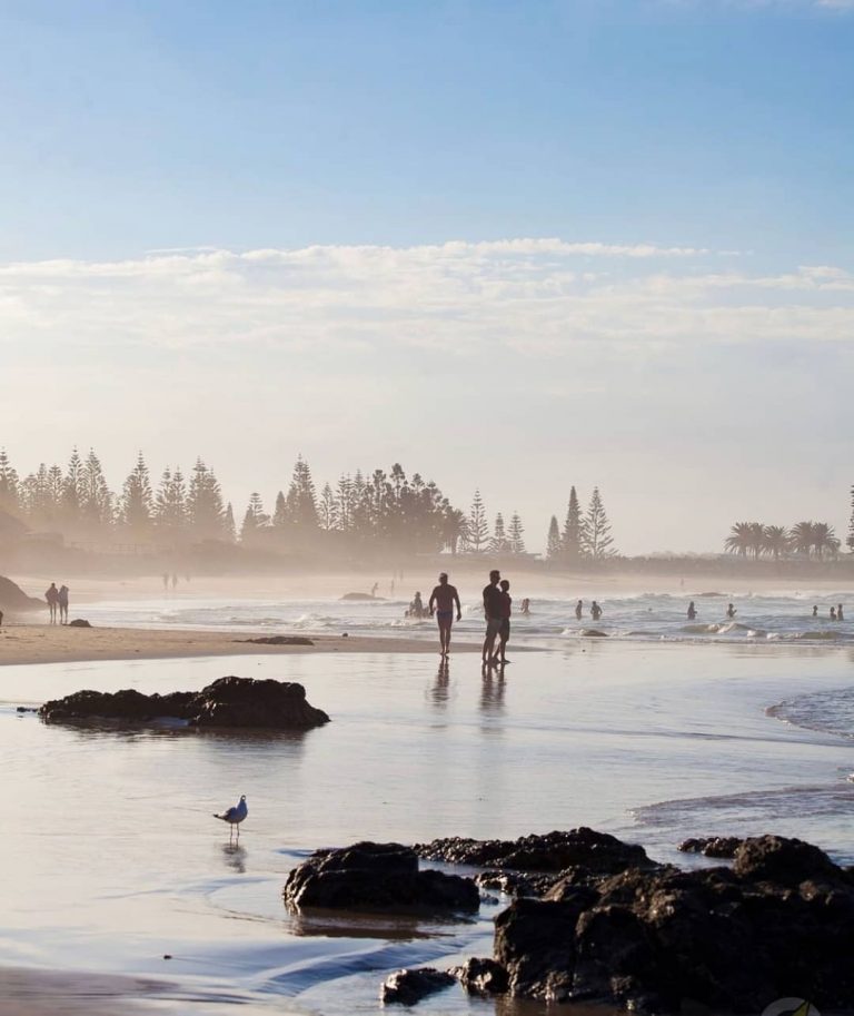 Salty Crew Kiosk 5 768x913