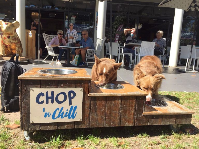Chop and Chill Bar and Grill Restaurant 2 768x576
