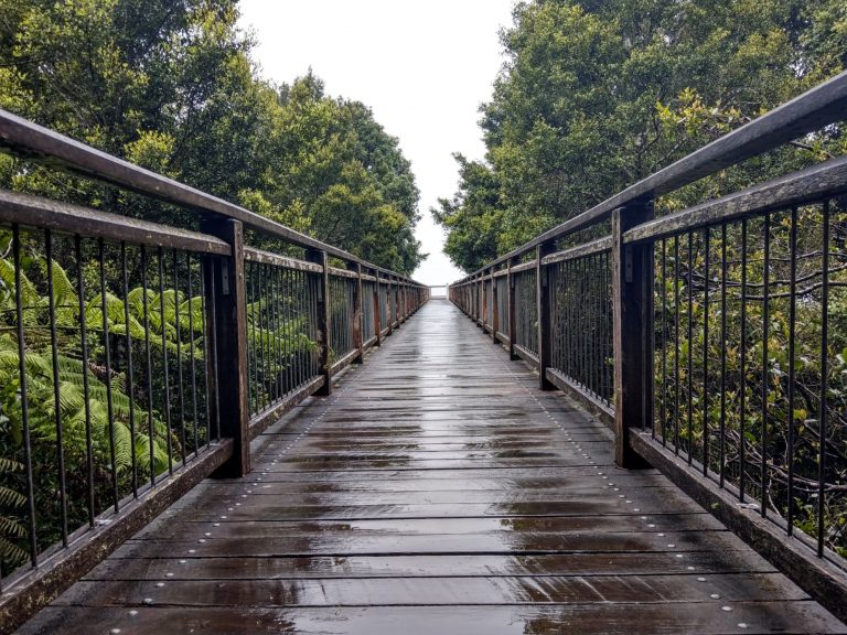 Indulgence Tours 2 768x576