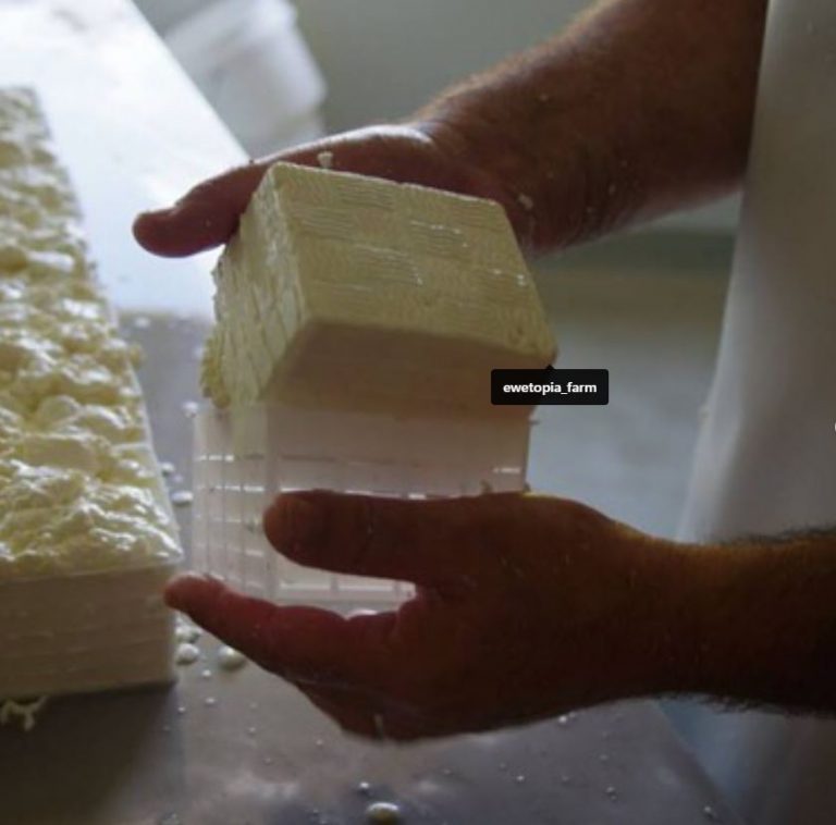 Port Macquarie Food Hub 14 768x758