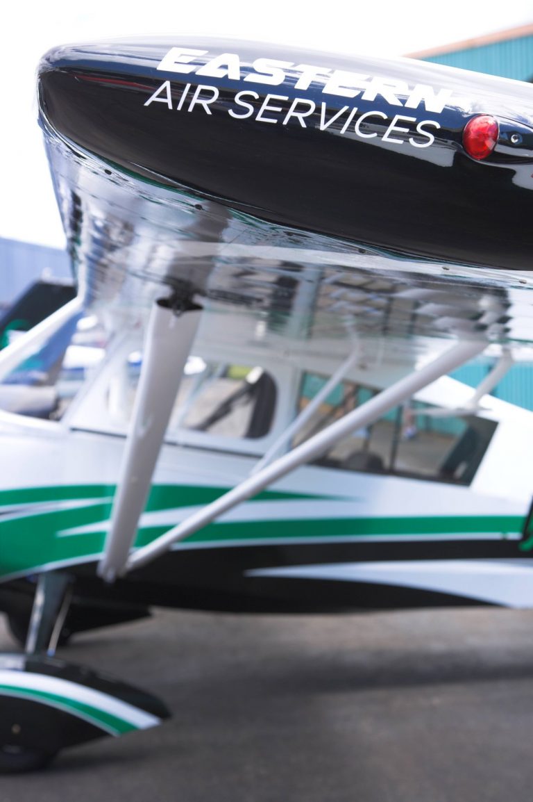 Sign City Plus 2 768x1154