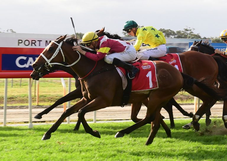 port macquarie race club 3 768x548