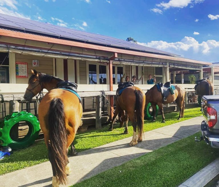 Beechwood Hotel 4 768x658