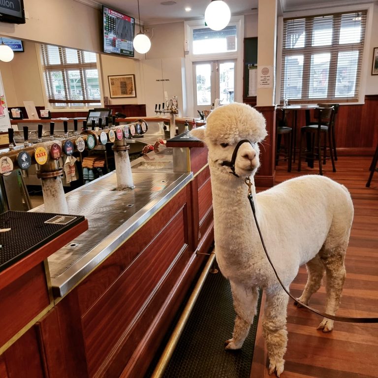 Royal Hotel Kew 1 768x768