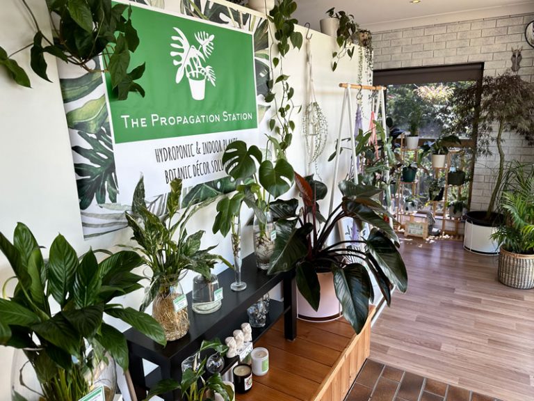 The Propagation Station5 768x576