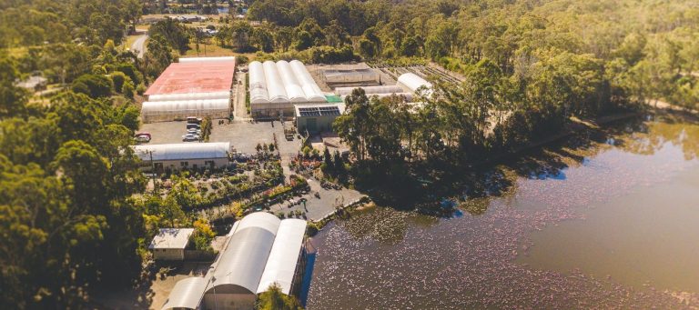 Abundance Nursery 3 768x341