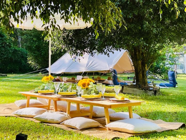 Soul Sister Grazing 3 768x576