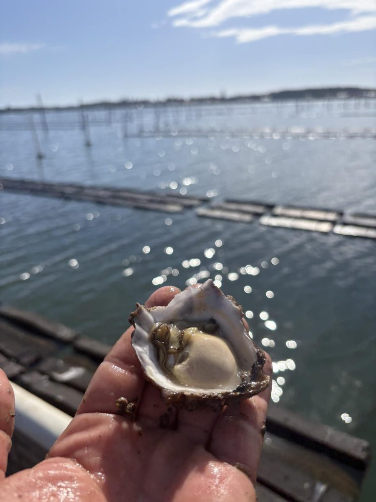 Tunstead Oysters 2 768x1024