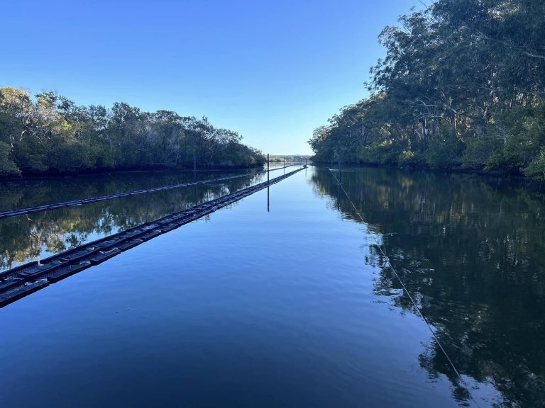 Tunstead Oysters 3 768x576