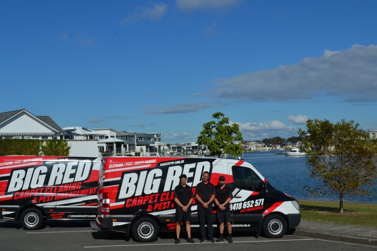 Gows Big Red Carpet Cleaning and Pest Control1 768x512