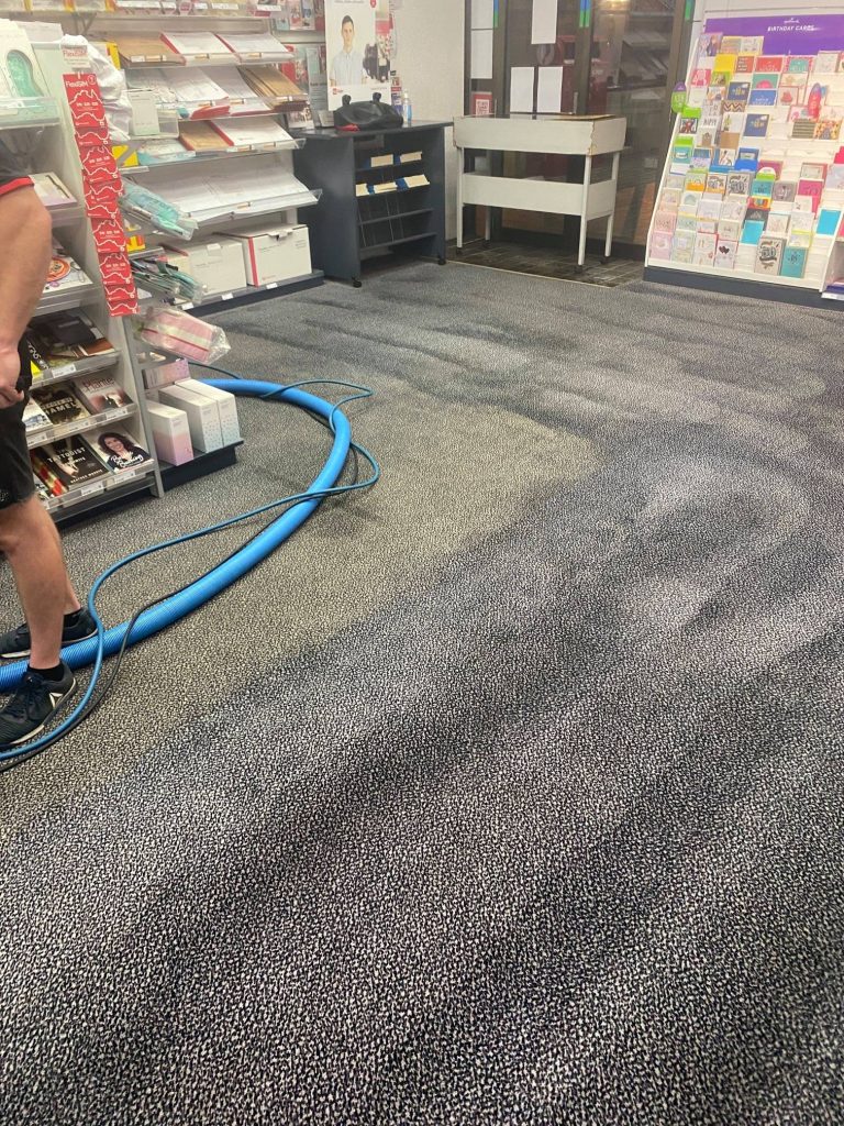 Gows Big Red Carpet Cleaning and Pest Control2 768x1024