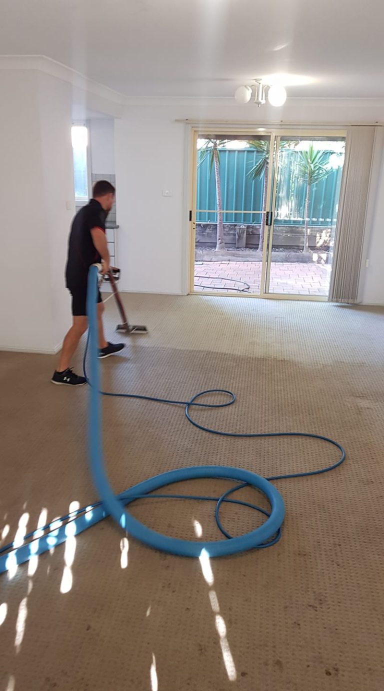 Gows Big Red Carpet Cleaning and Pest Control4 768x1382