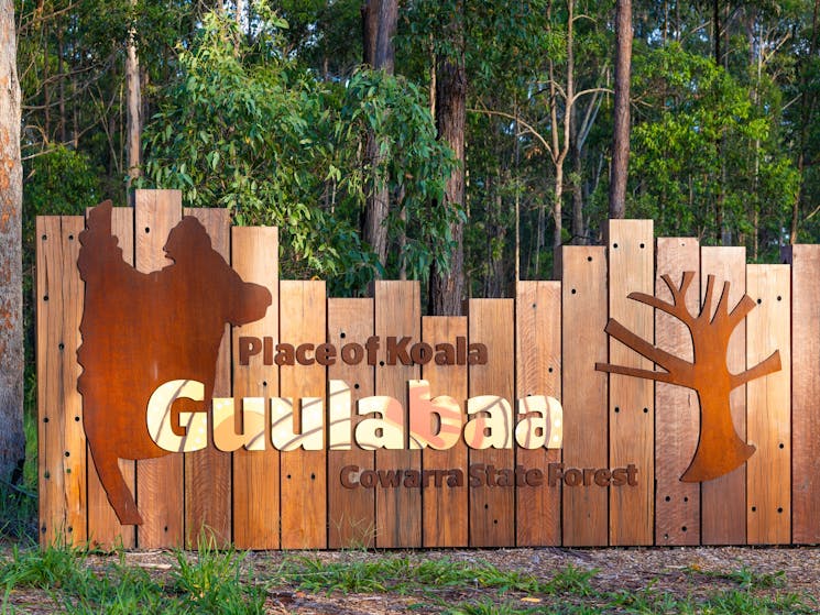 Guulabaa The Place of the Koala1
