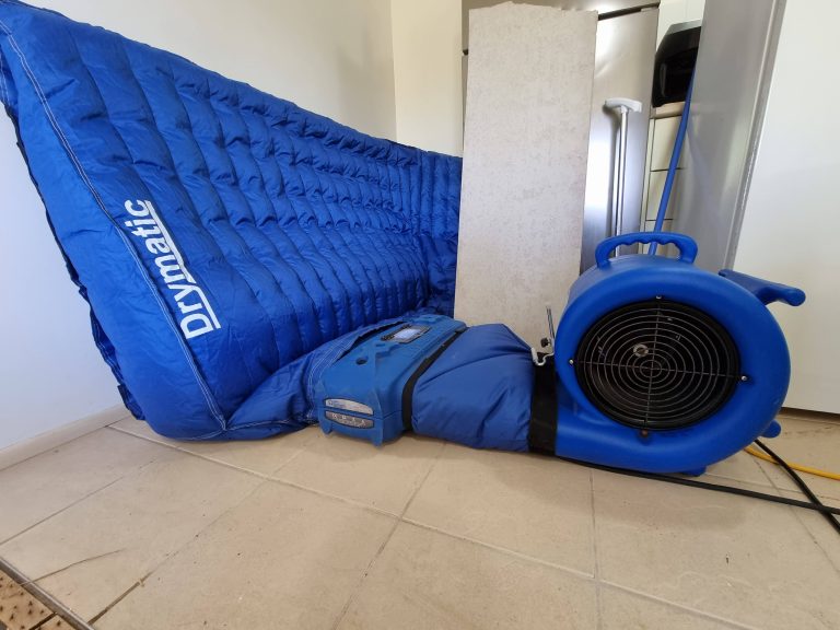 IMG 20220901 132517 068 768x576